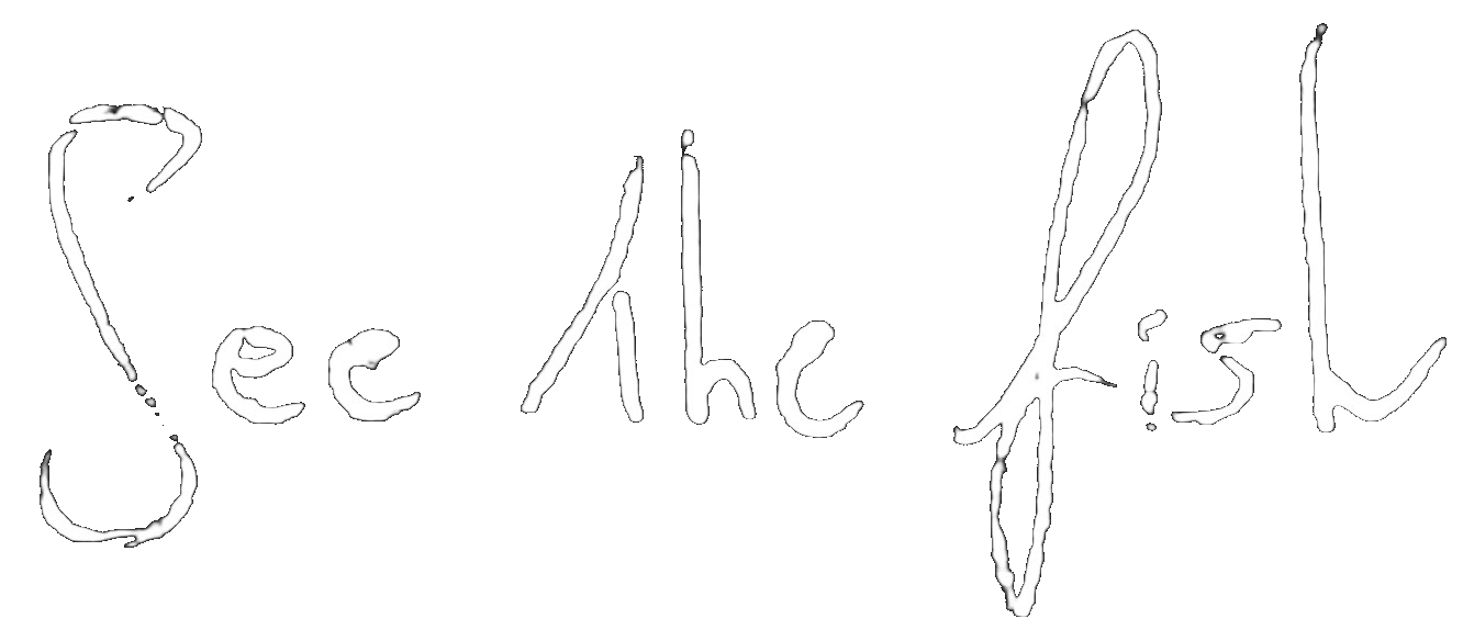Logo See The Fish